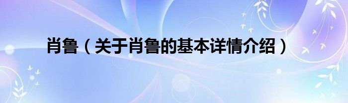 肖鲁（关于肖鲁的基本详情介绍）