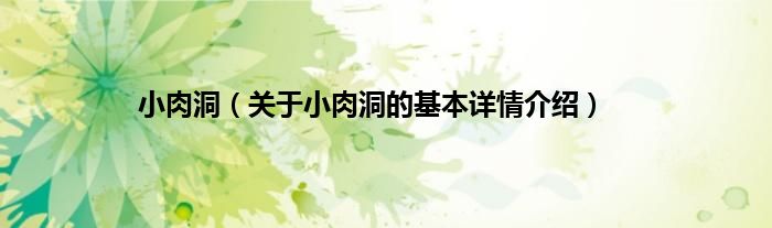 小肉洞（关于小肉洞的基本详情介绍）