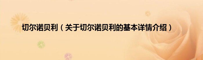 切尔诺贝利（关于切尔诺贝利的基本详情介绍）