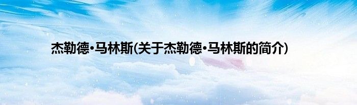 杰勒德·马林斯(关于杰勒德·马林斯的简介)