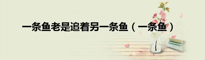 一条鱼老是追着另一条鱼（一条鱼）
