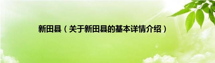 新田县（关于新田县的基本详情介绍）