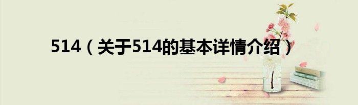 514（关于514的基本详情介绍）
