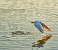 信创的大力发展对数字转型有什么意义？